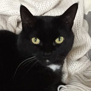 Meet your Posher, Leslie